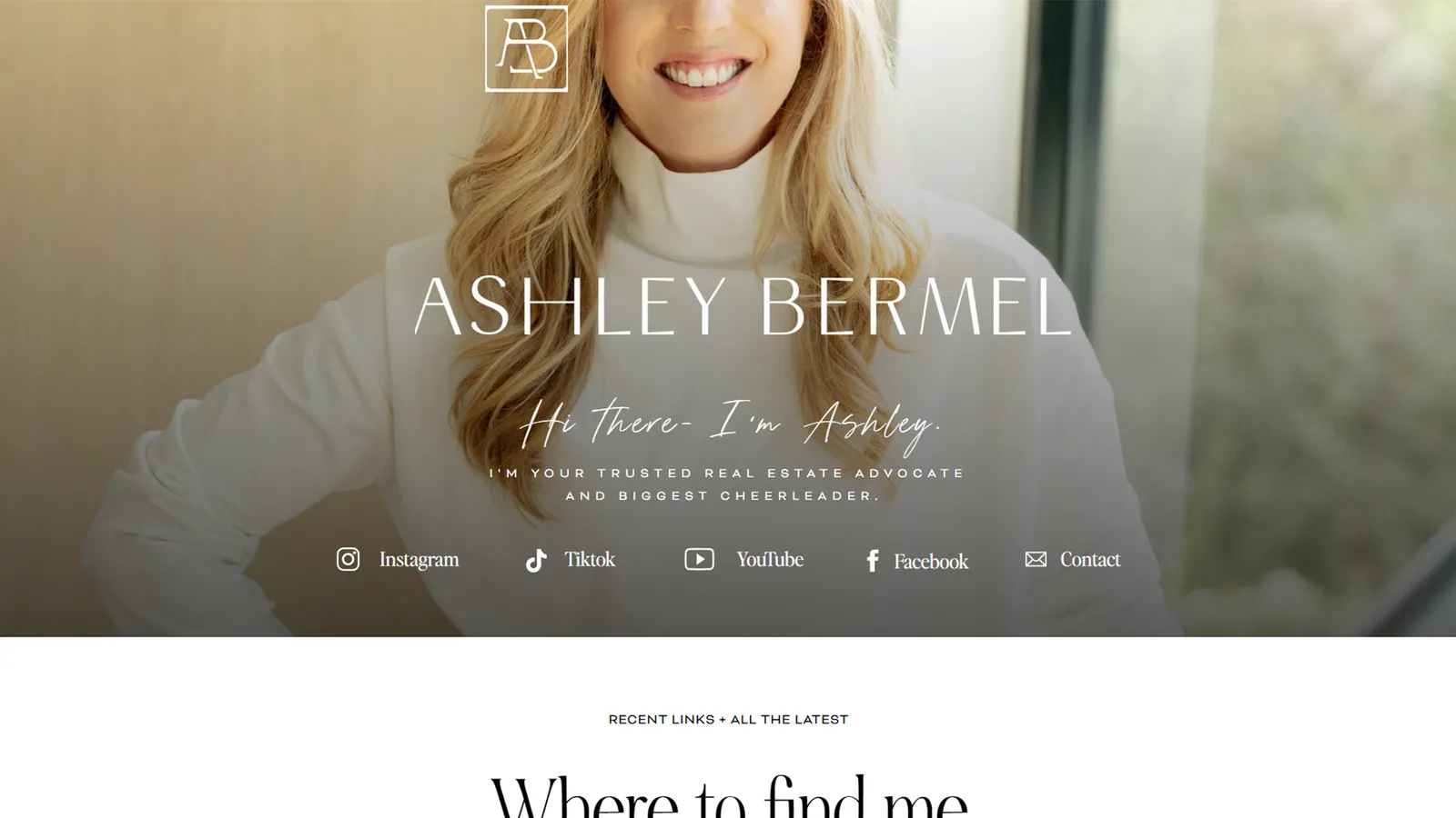 Ashley Bermel: old design, image 1